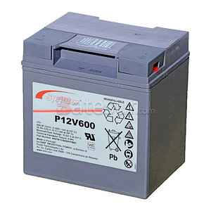 P12V600